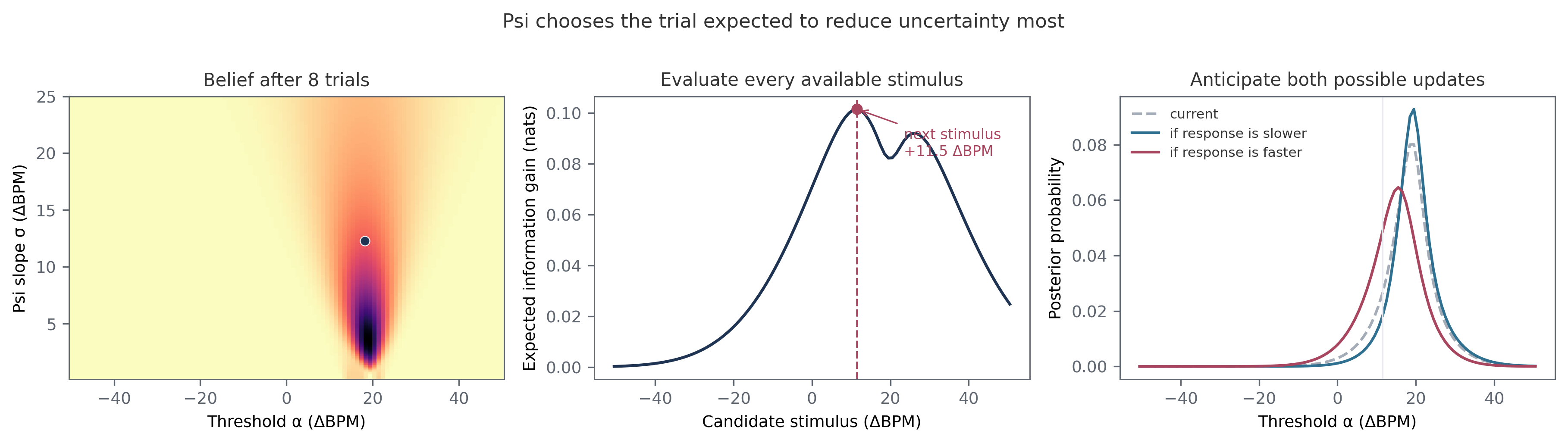 Psi chooses a stimulus by expected information gain