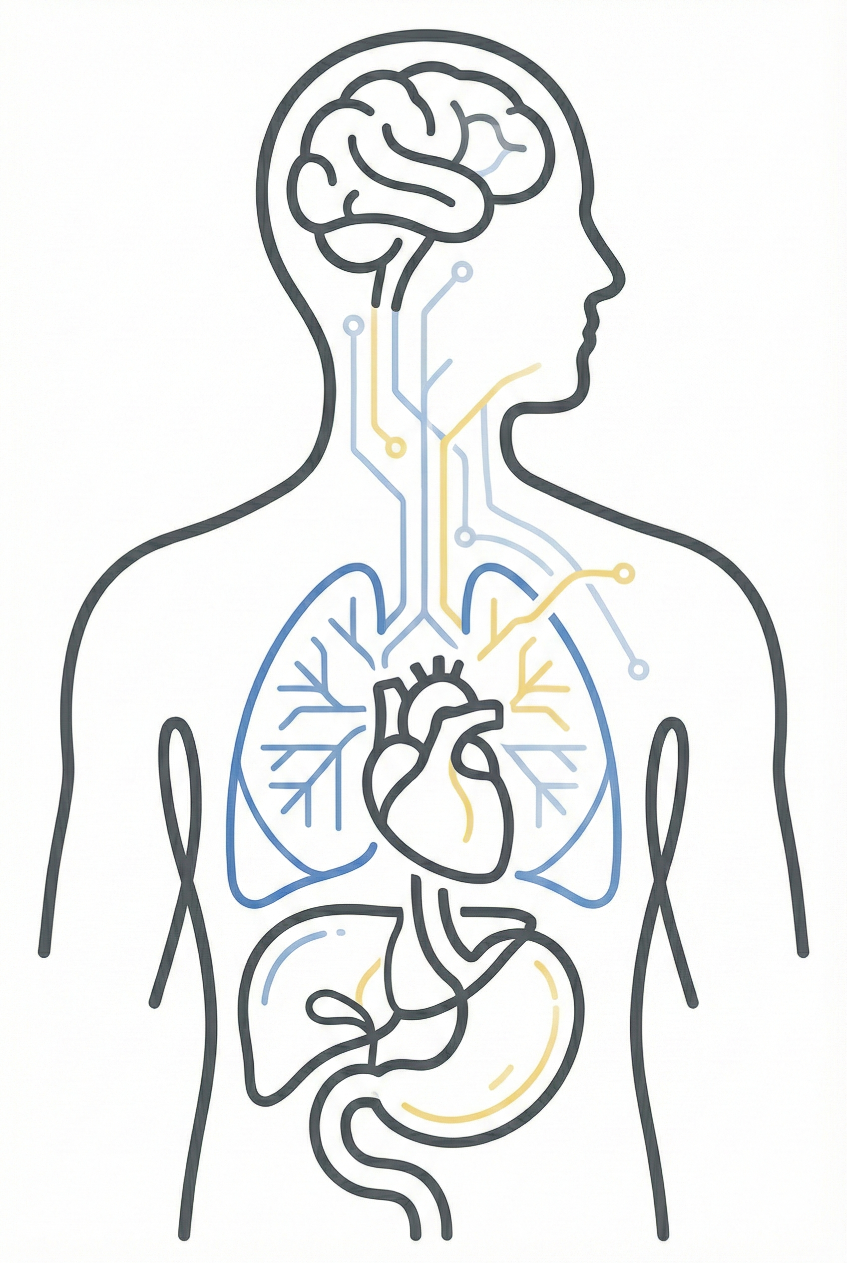 Visceral Inference & Interoception