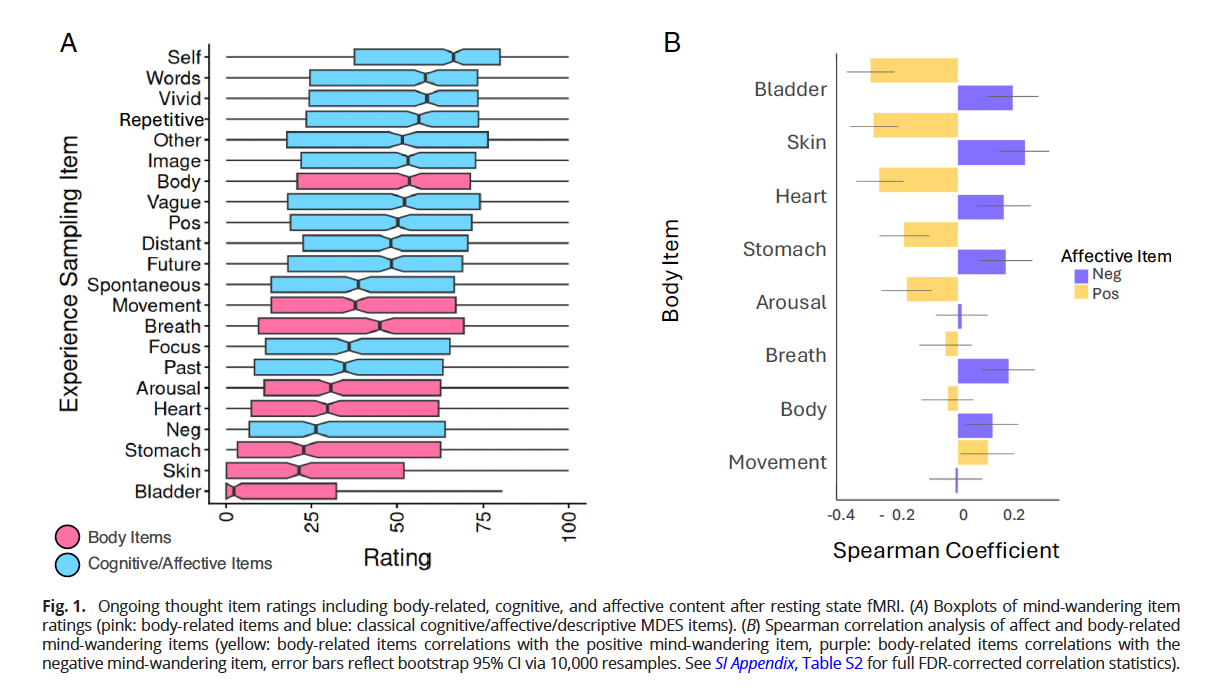 Thought ratings and body-wandering items