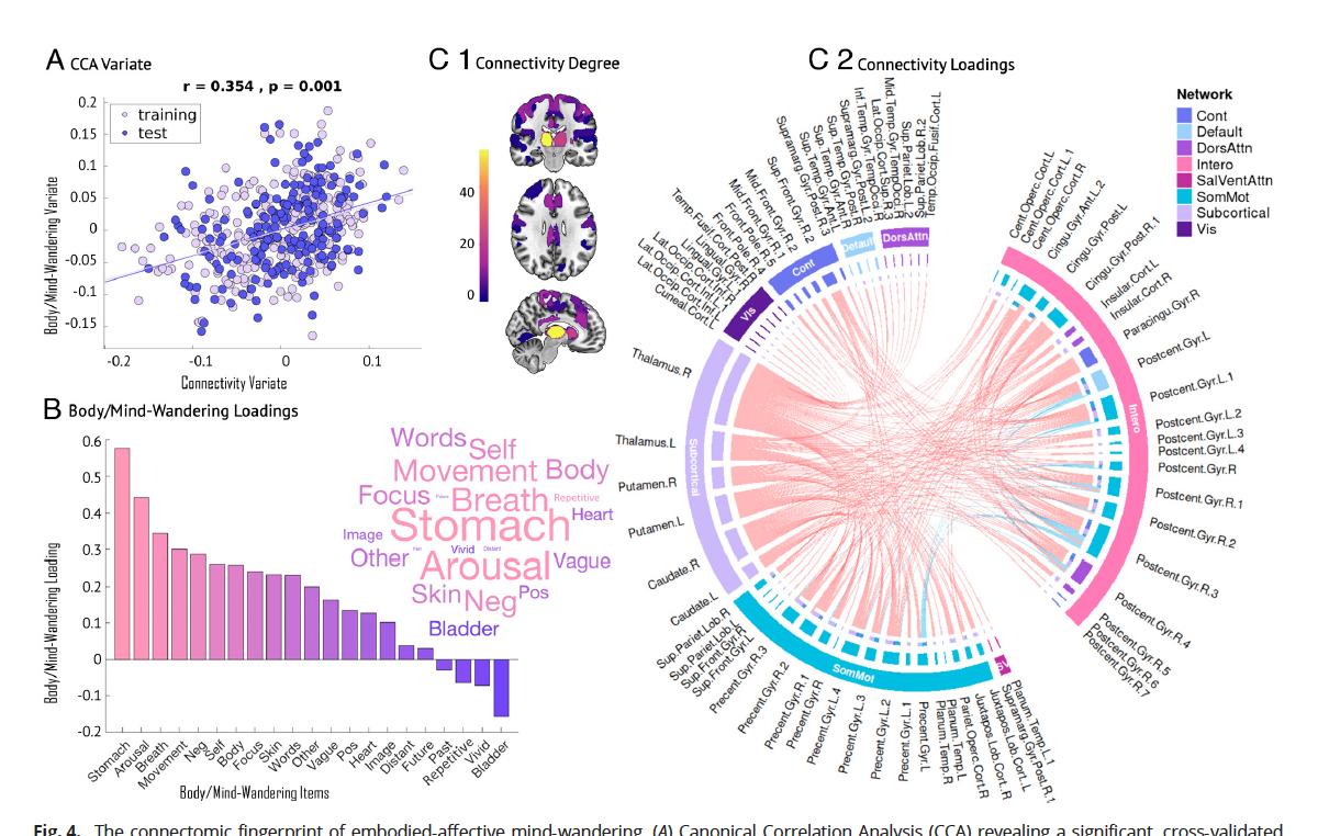 Connectomic fingerprint of body-wandering
